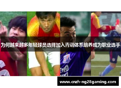 为何越来越多年轻球员选择加入青训体系培养成为职业选手