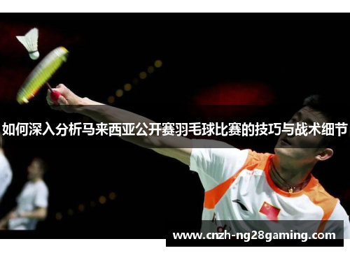 如何深入分析马来西亚公开赛羽毛球比赛的技巧与战术细节