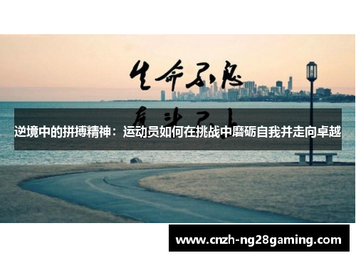 逆境中的拼搏精神:运动员如何在挑战中磨砺自我并走向卓越 逆境中的拼搏精神:运动员如何在挑战中磨砺自我并走向卓越