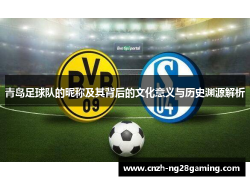 青岛足球队的昵称及其背后的文化意义与历史渊源解析