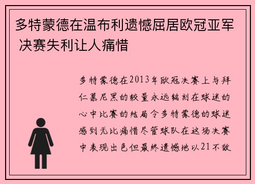 多特蒙德在温布利遗憾屈居欧冠亚军 决赛失利让人痛惜