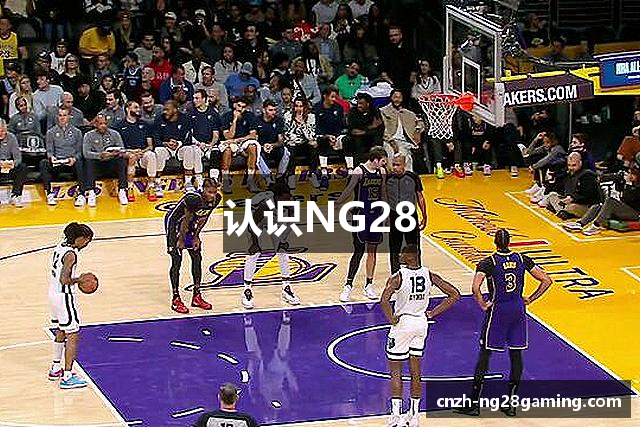 认识NG28